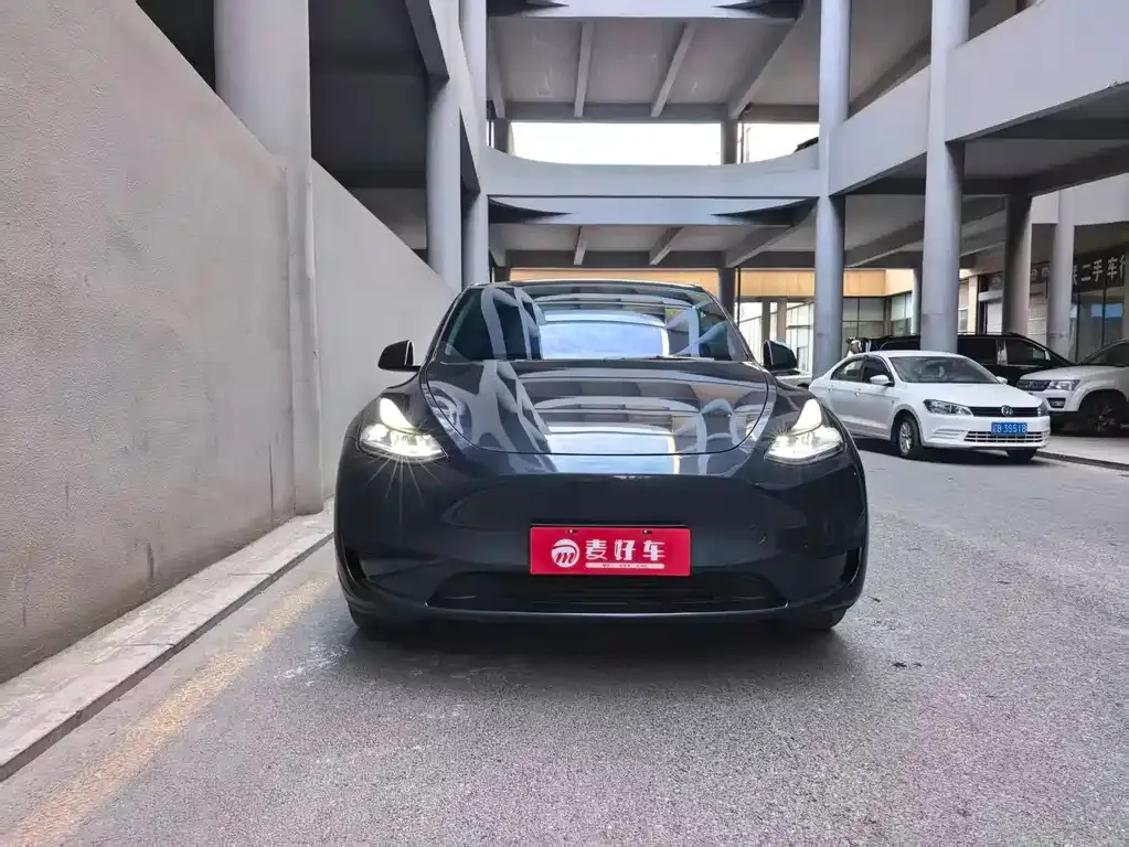 Tesla Model Y — фото 10