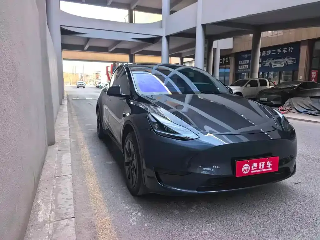 Tesla Model Y — фото 9