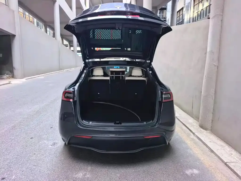 Tesla Model Y — фото 2