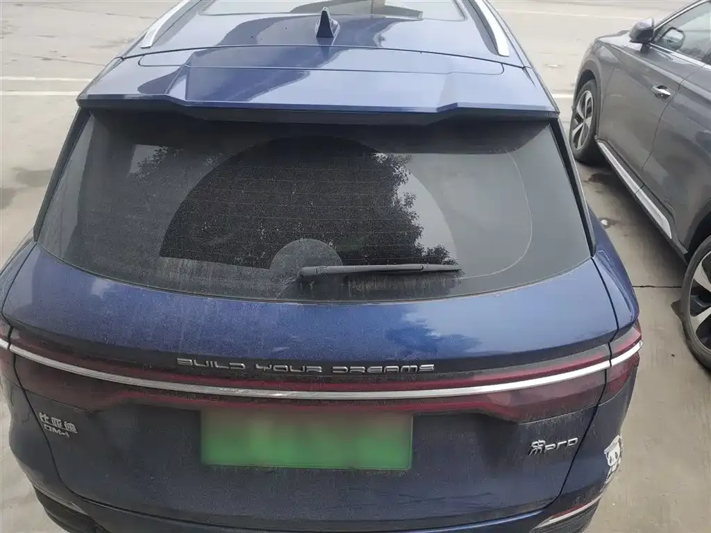 BYD Pro New Energy 2023 из CN, фото 2