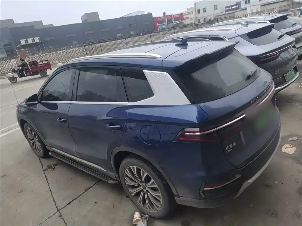 BYD Pro New Energy 2023 из CN, фото 9