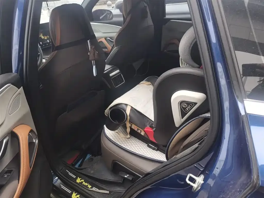 BYD Pro New Energy 2023 из CN, фото 10