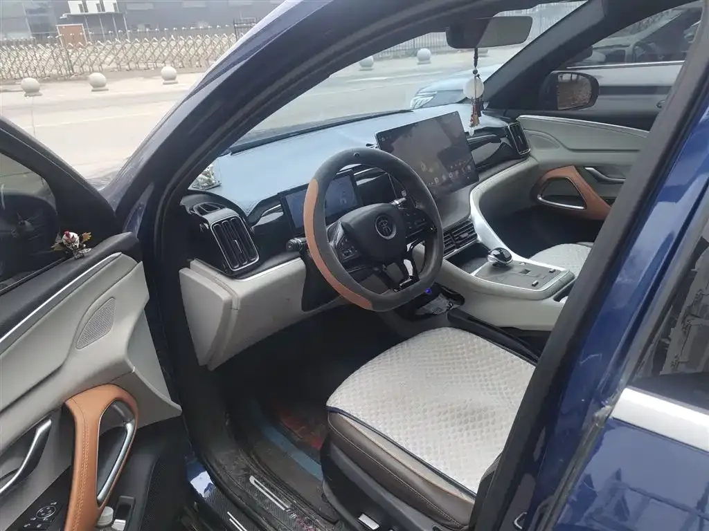 BYD Pro New Energy 2023 из CN, фото 5