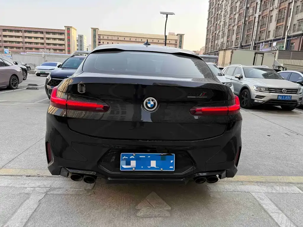 BMW X4 2024 из CN, фото 9