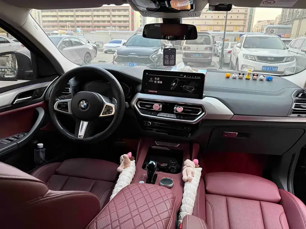 BMW X4 2024 из CN, фото 10