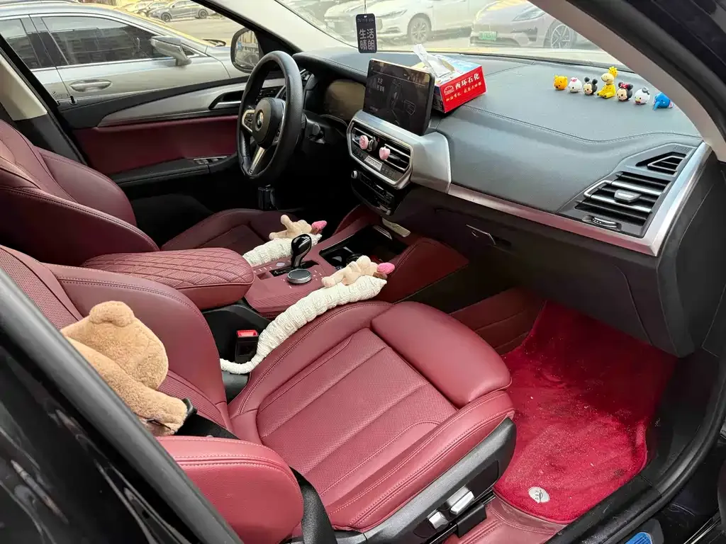 BMW X4 2024 из CN, фото 7