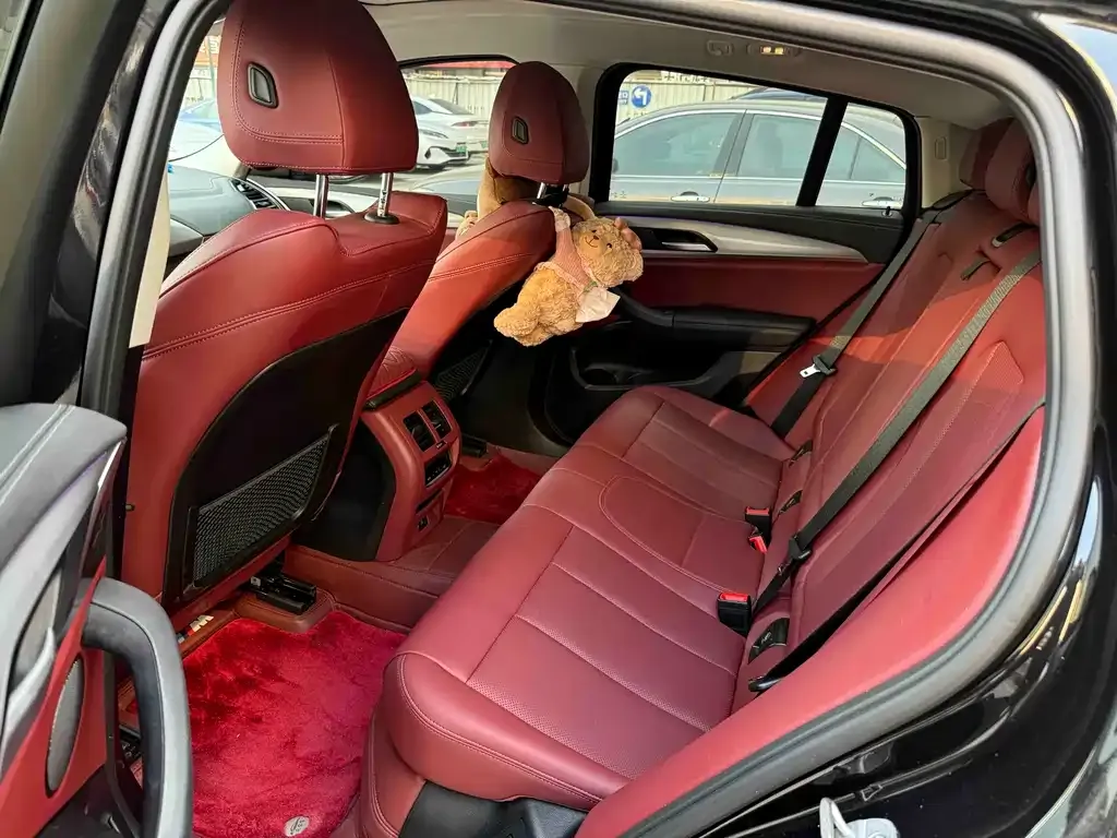 BMW X4 2024 из CN, фото 4