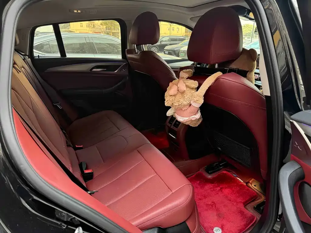BMW X4 2024 из CN, фото 5