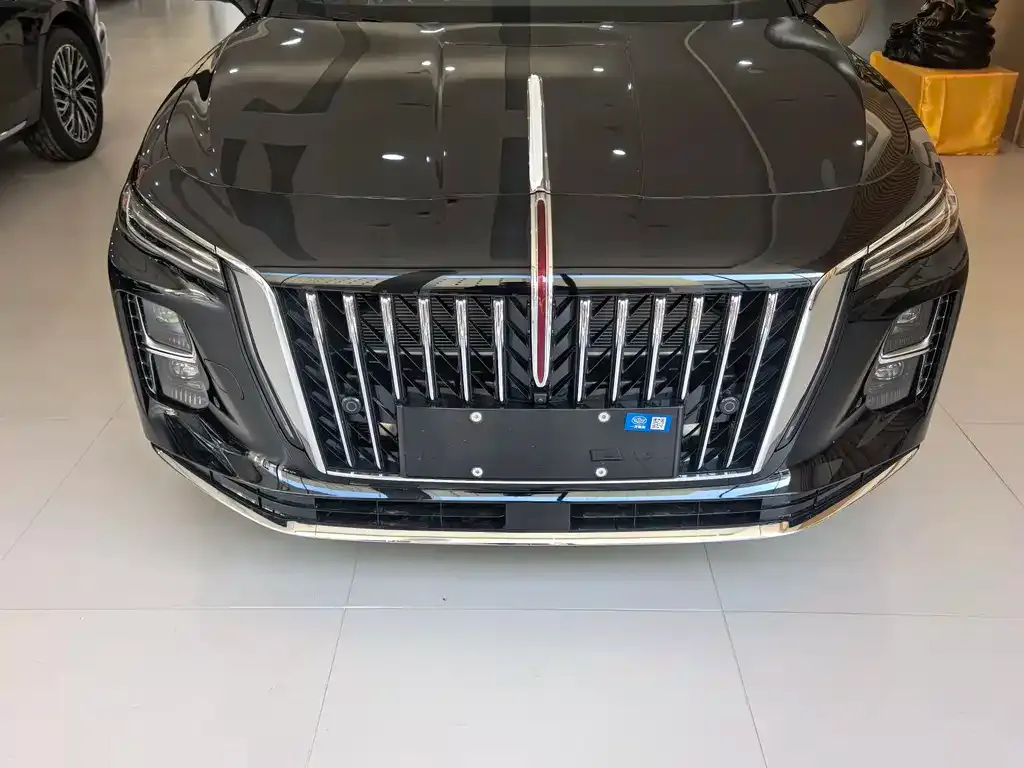 Hongqi H5 PHEV 2025 из CN, фото 10