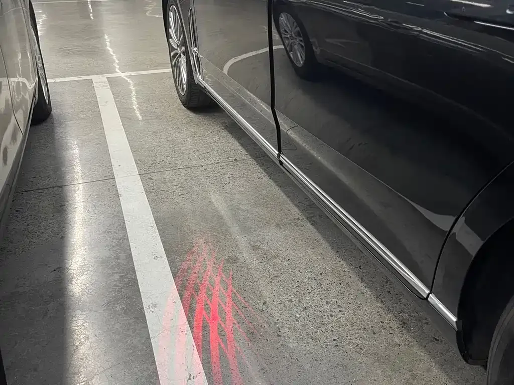 Hongqi H9 2021 из CN, фото 2