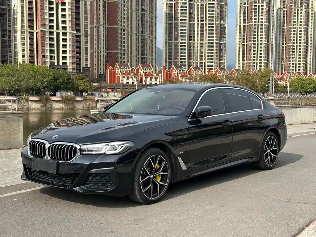 BMW 5 Series 2023 из CN, фото 1