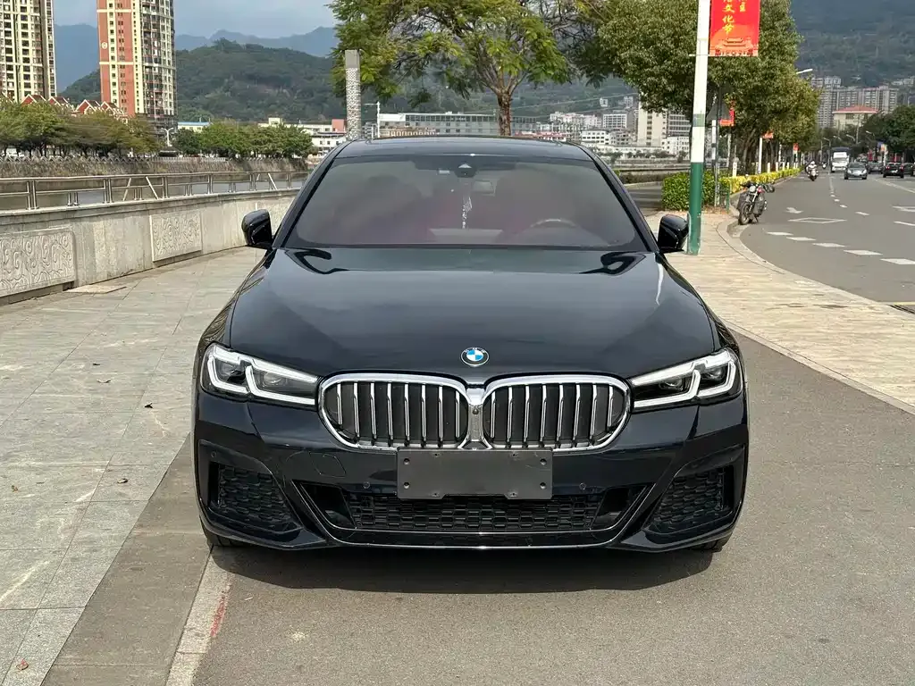 BMW 5 Series 2023 из CN, фото 5