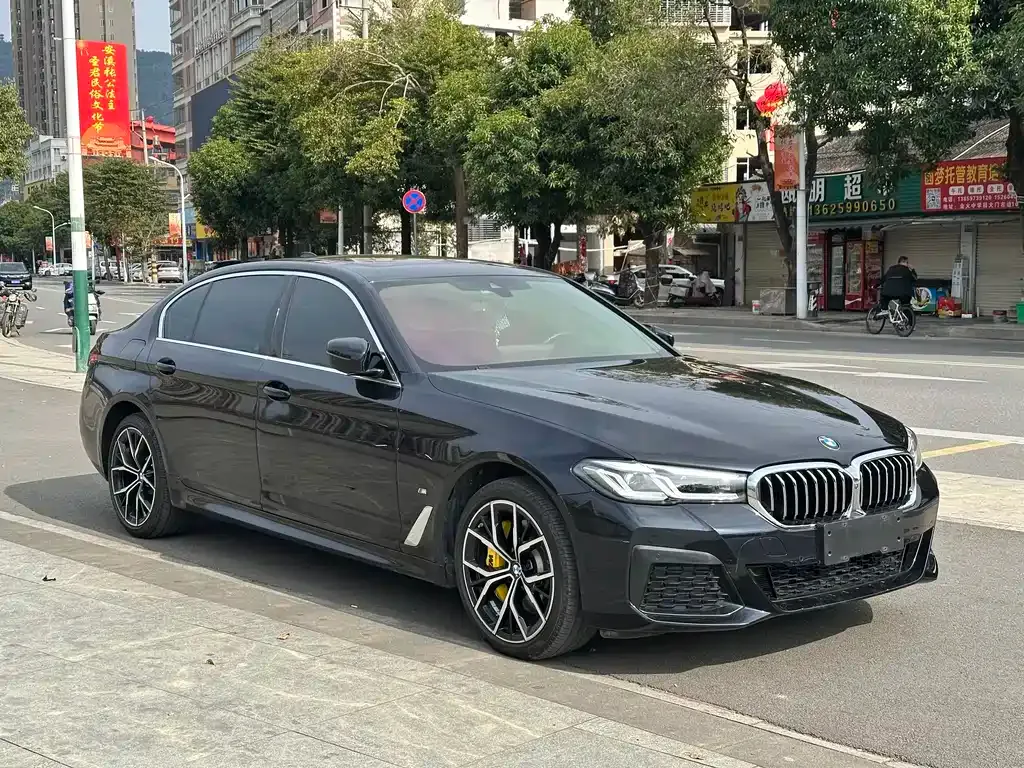 BMW 5 Series 2023 из CN, фото 9
