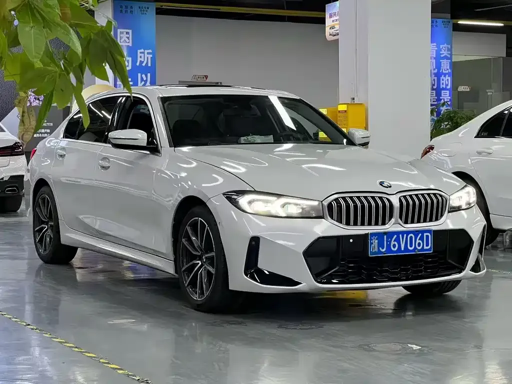BMW 3 Series 2023 из CN, фото 7