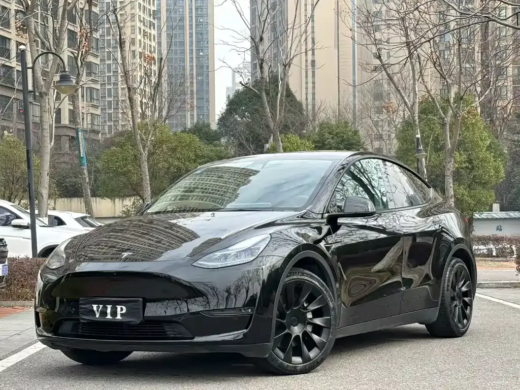 Tesla Model Y 2021 из CN, фото 1