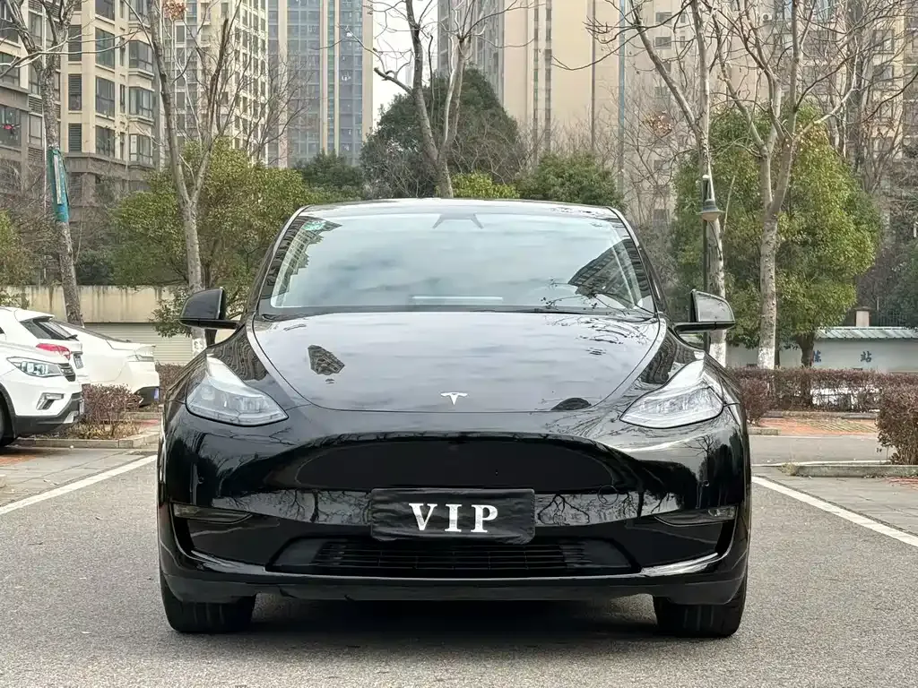 Tesla Model Y 2021 из CN, фото 9