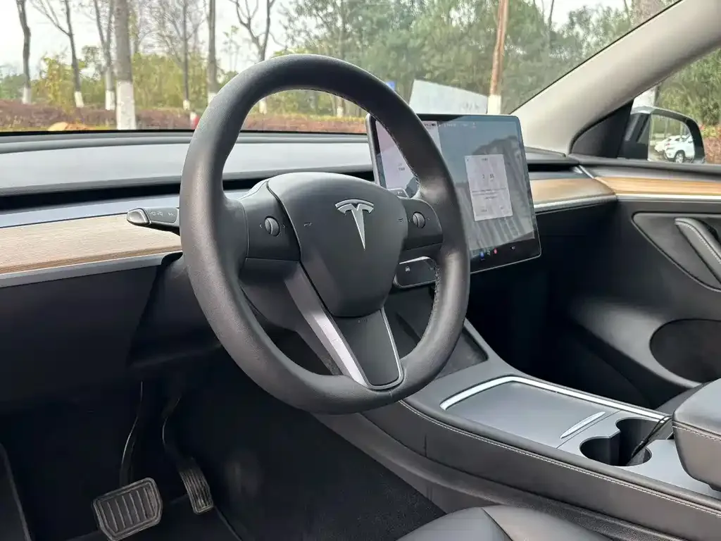 Tesla Model Y 2021 из CN, фото 4