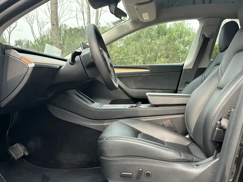 Tesla Model Y 2021 из CN, фото 5