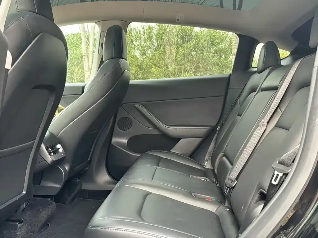 Tesla Model Y 2021 из CN, фото 6