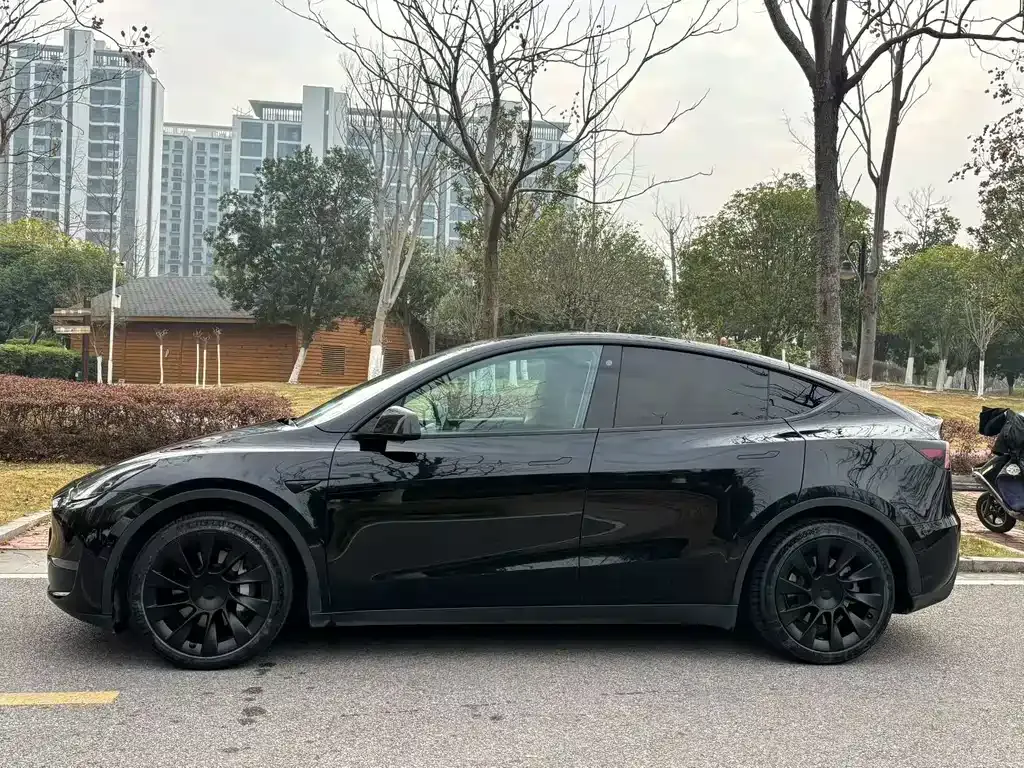 Tesla Model Y 2021 из CN, фото 3