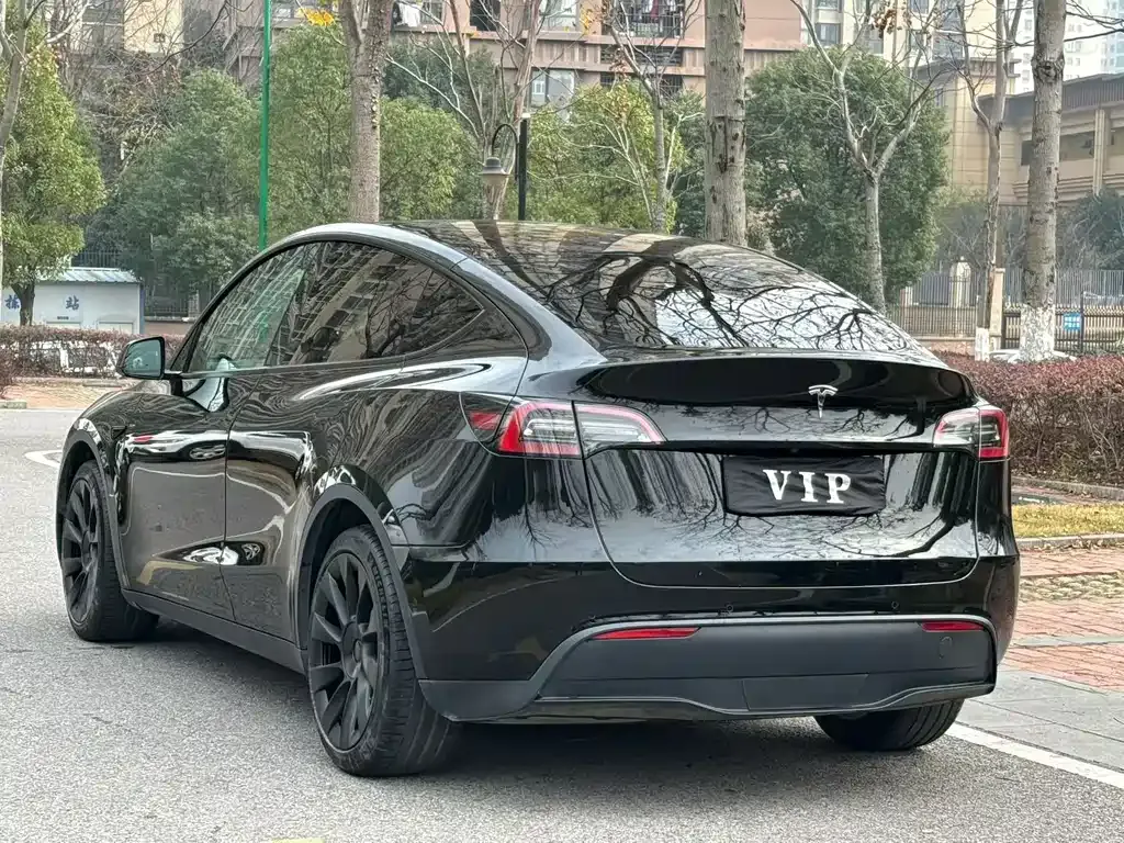 Tesla Model Y 2021 из CN, фото 8