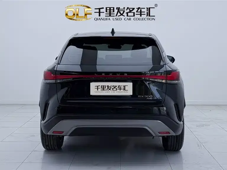 Lexus RX 2025 из CN, фото 10