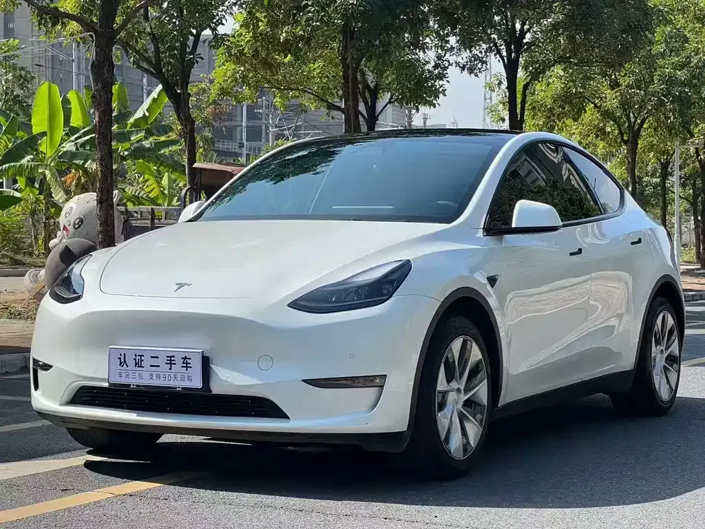 Tesla Model Y 2021 из CN, фото 1
