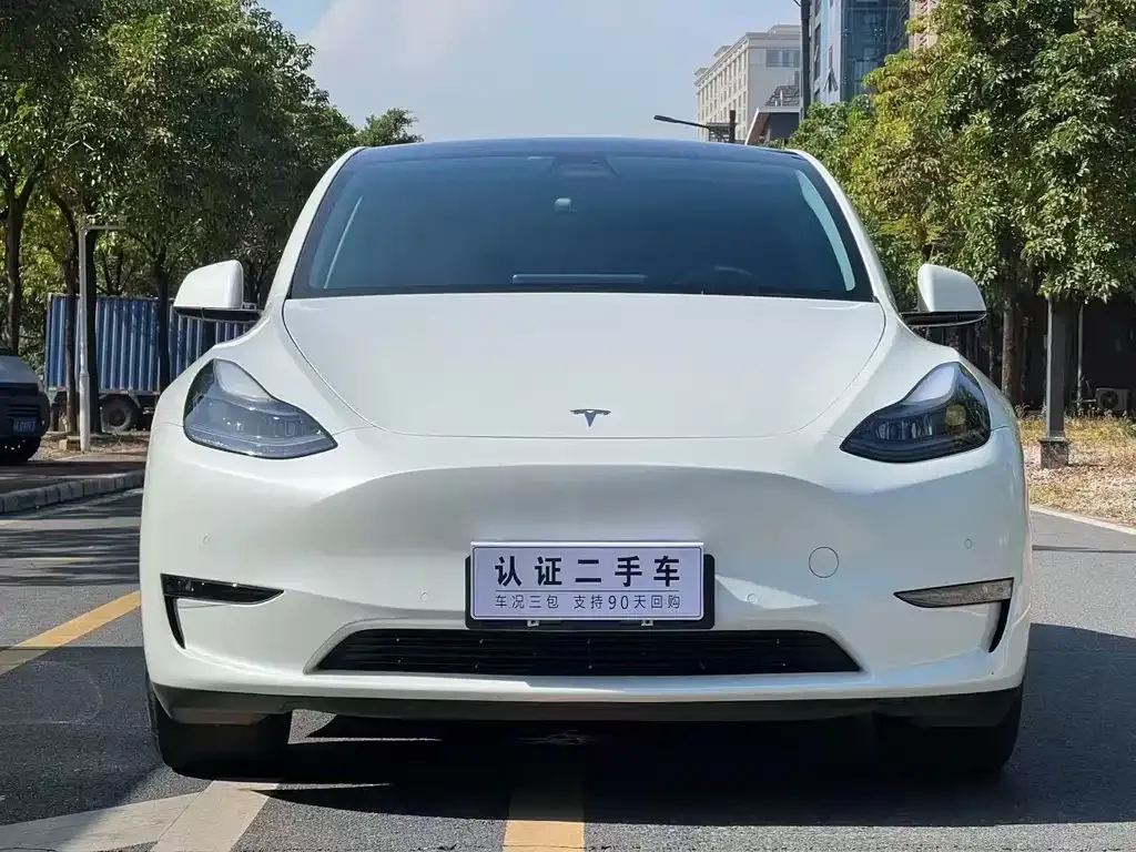 Tesla Model Y 2021 из CN, фото 7