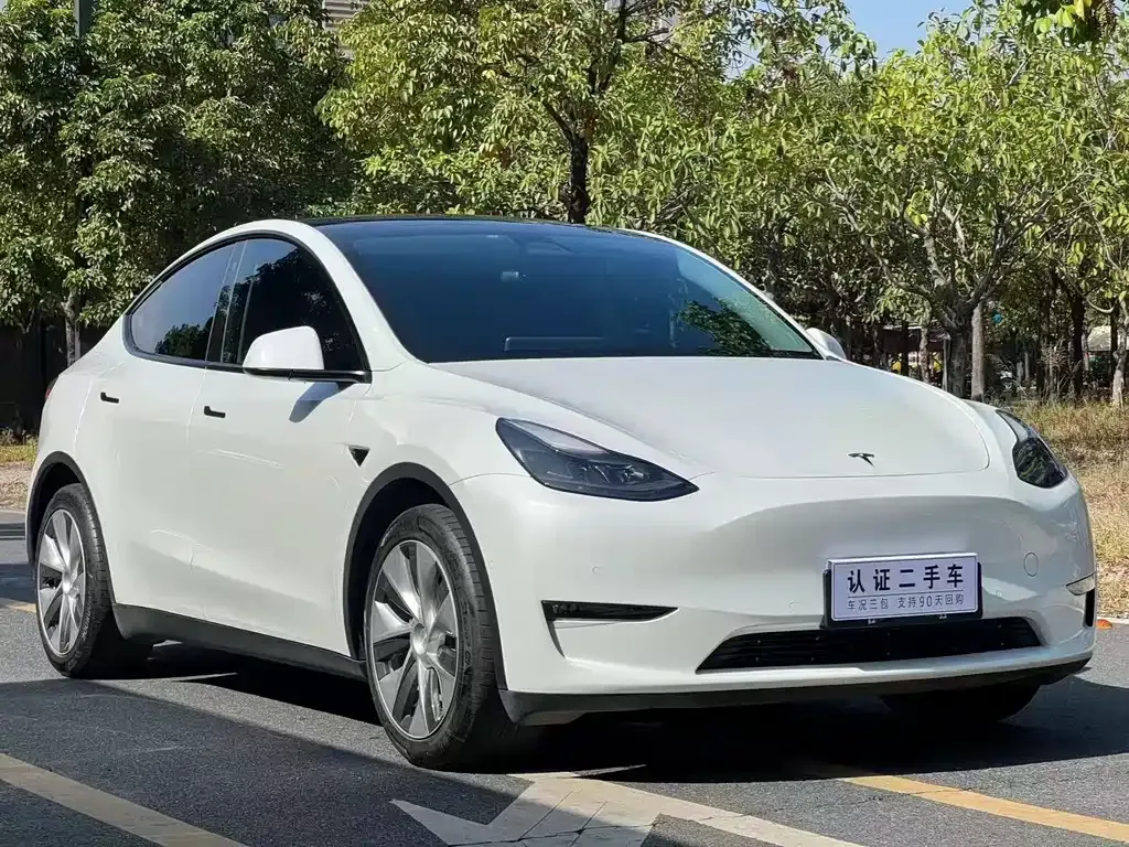 Tesla Model Y 2021 из CN, фото 8