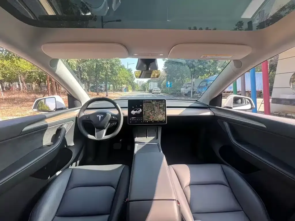 Tesla Model Y 2021 из CN, фото 6