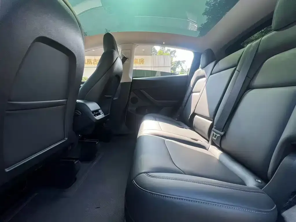Tesla Model Y 2021 из CN, фото 2