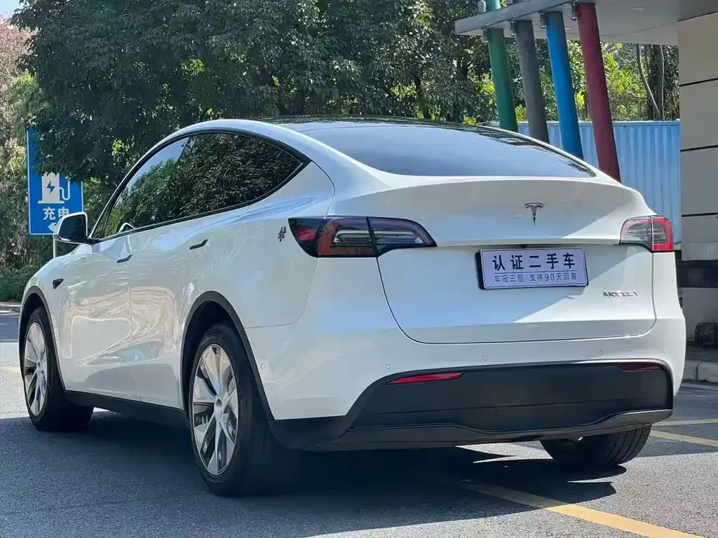 Tesla Model Y 2021 из CN, фото 4