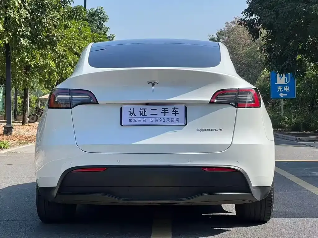 Tesla Model Y 2021 из CN, фото 3