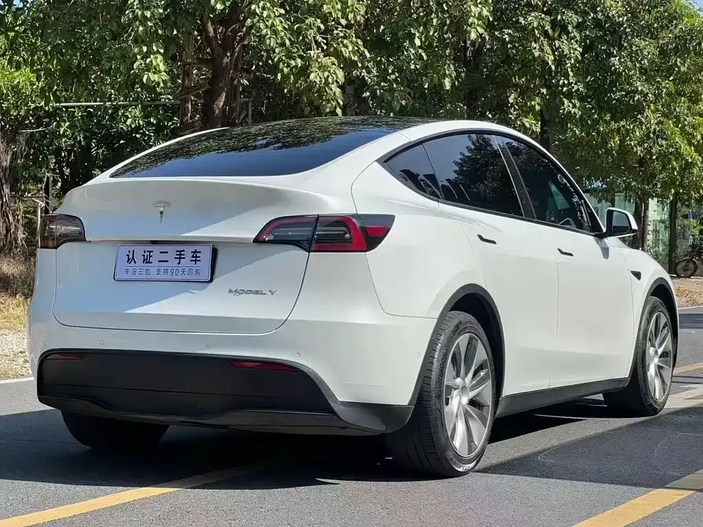 Tesla Model Y 2021 из CN, фото 9