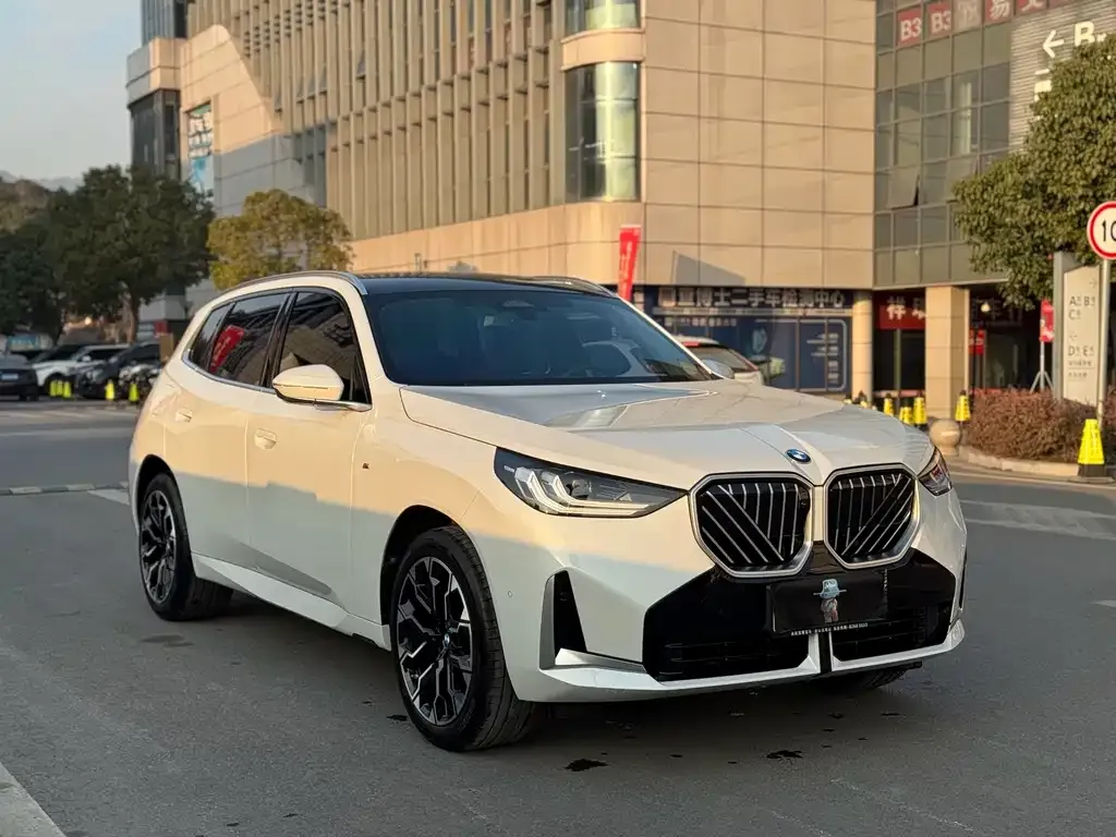 BMW X3 — фото 10