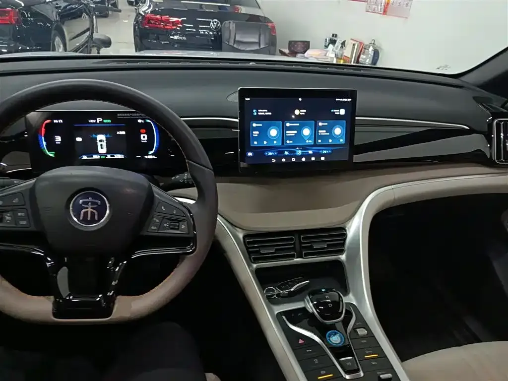 BYD Pro New Energy — фото 4
