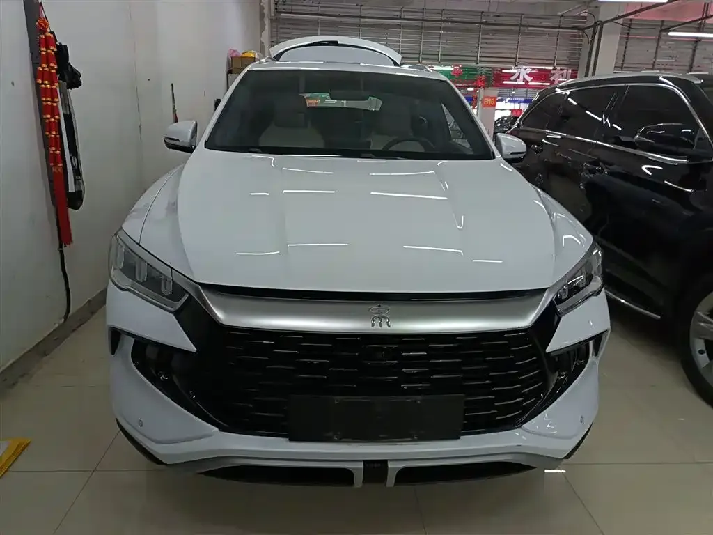 BYD Pro New Energy — фото 9