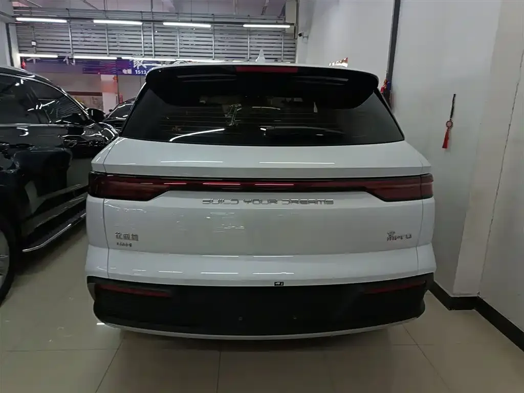 BYD Pro New Energy — фото 3