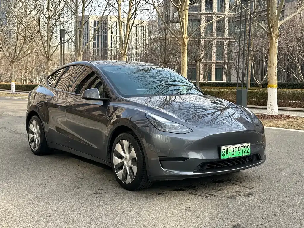 Tesla Model Y — фото 6
