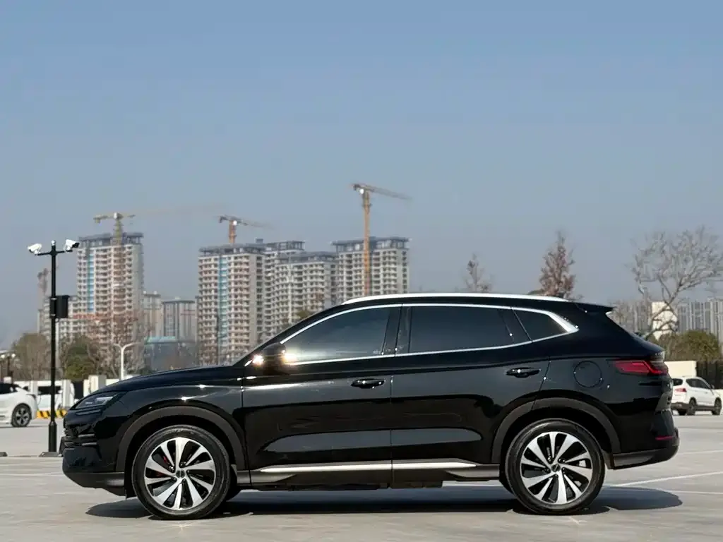 BYD PLUS New Energy — фото 5