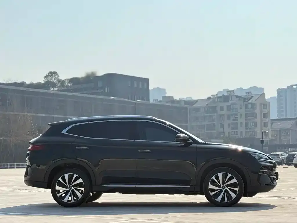 BYD PLUS New Energy — фото 2