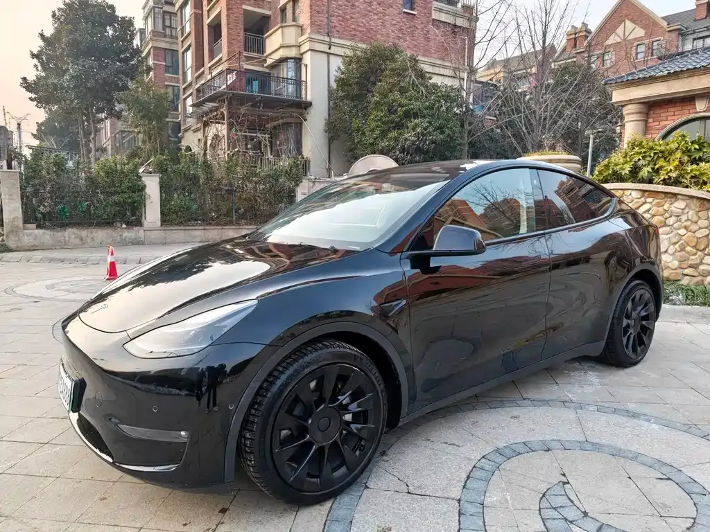 Tesla Model Y 2021 из CN, фото 1