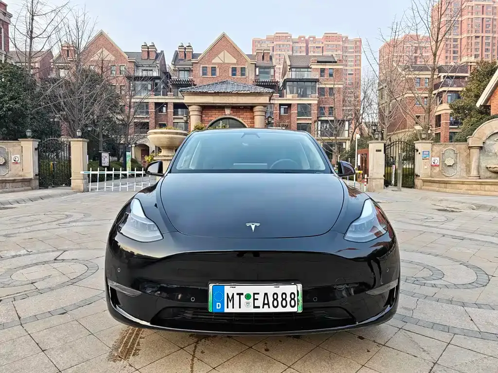 Tesla Model Y 2021 из CN, фото 2