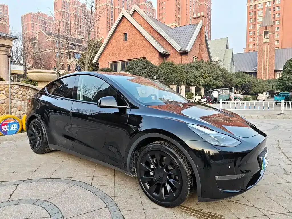 Tesla Model Y 2021 из CN, фото 9