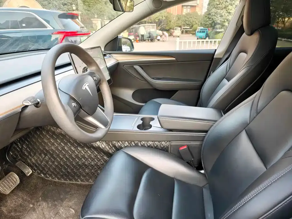 Tesla Model Y 2021 из CN, фото 4