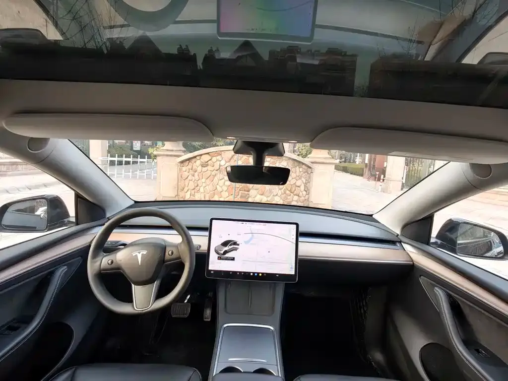 Tesla Model Y 2021 из CN, фото 3