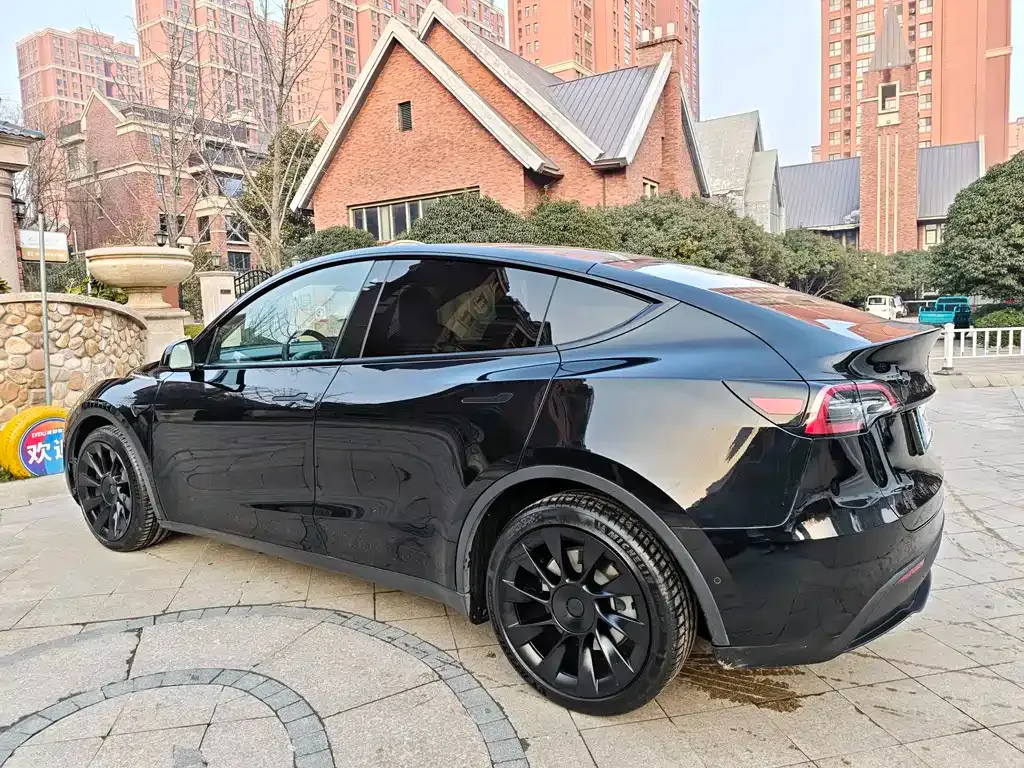 Tesla Model Y 2021 из CN, фото 7