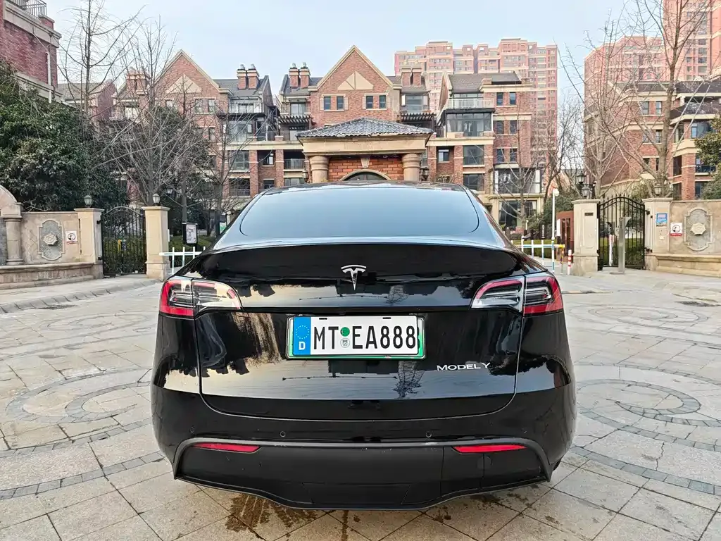 Tesla Model Y 2021 из CN, фото 8