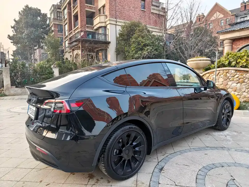 Tesla Model Y 2021 из CN, фото 6