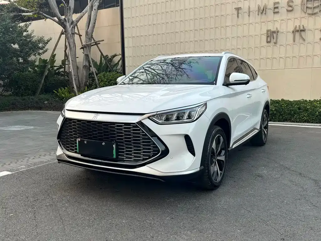BYD PLUS 2022 из CN, фото 1